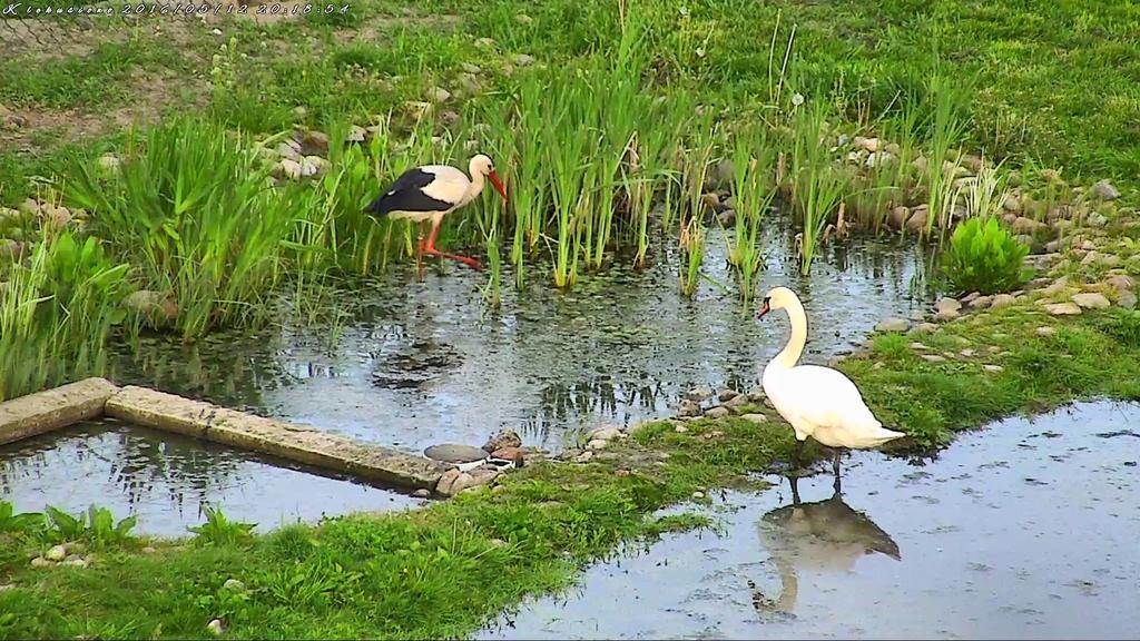 Agroturystyka Klekusiowo Boleslawiec  Exteriör bild