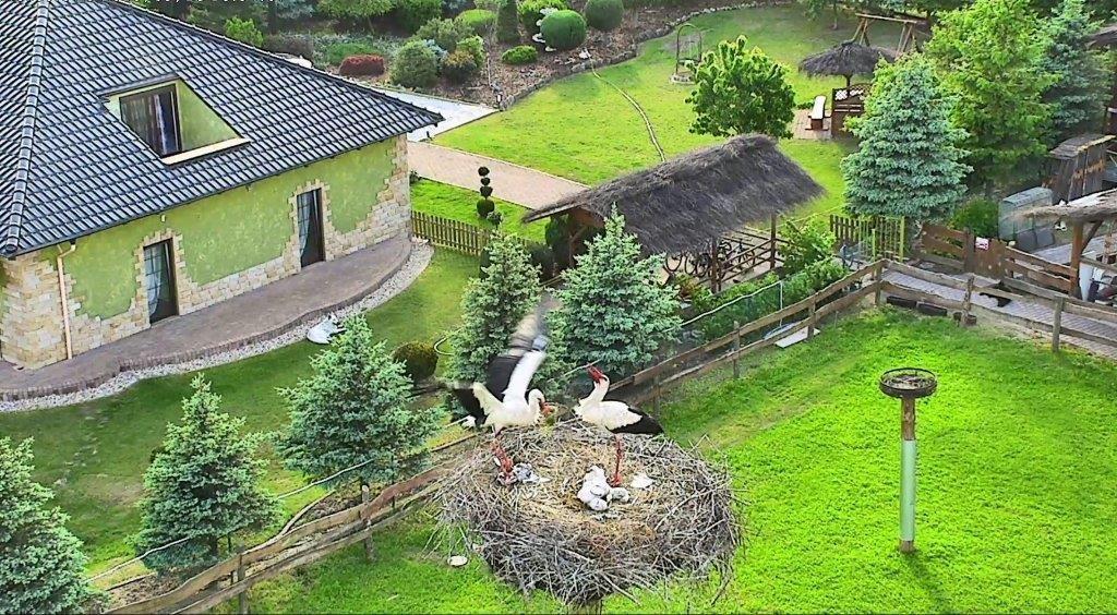 Agroturystyka Klekusiowo Boleslawiec  Exteriör bild