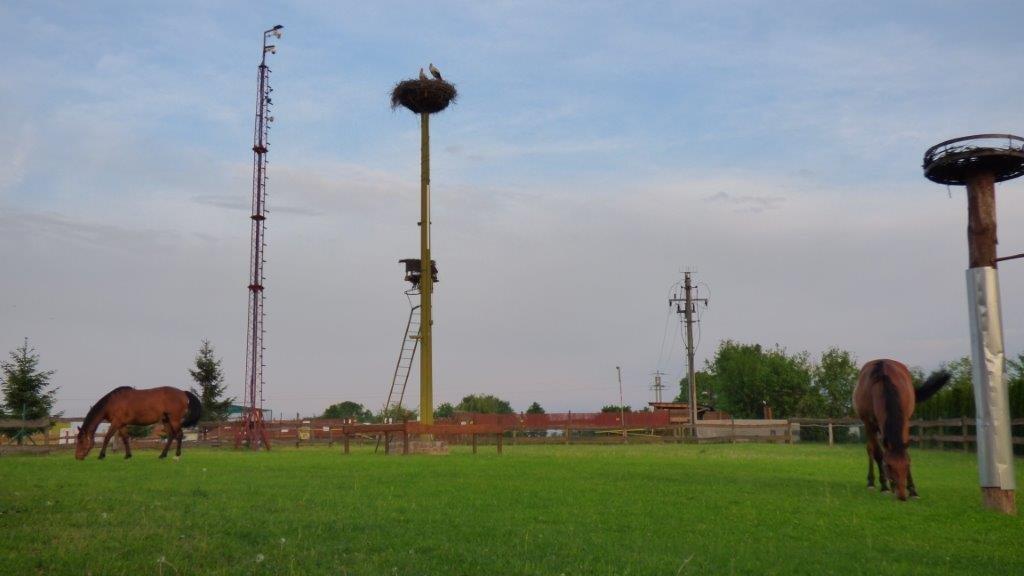 Agroturystyka Klekusiowo Boleslawiec  Exteriör bild