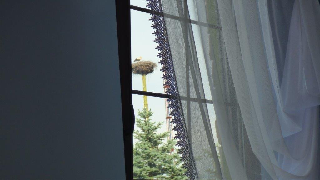 Agroturystyka Klekusiowo Boleslawiec  Exteriör bild